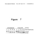 COMPOSITIONS AND METHODS FOR DIAGNOSING AND TREATING CANCER diagram and image