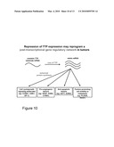 COMPOSITIONS AND METHODS FOR DIAGNOSING AND TREATING CANCER diagram and image