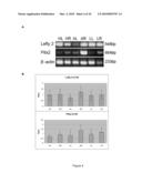 METHODS OF SCREENING FOR COMPOUNDS FOR USE AS MODULATORS OF LEFT-RIGHT ASYMMETRY IN SCOLIOTIC SUBJECTS AND FOR MONITORING EFFICACY OF AN ORTHOPAEDIC DEVICE diagram and image