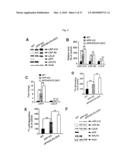 Oligopeptides for treatment of osteoporosis and other bone diseases and methods therefor diagram and image