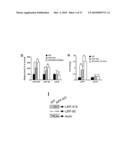 Oligopeptides for treatment of osteoporosis and other bone diseases and methods therefor diagram and image