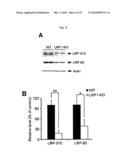 Oligopeptides for treatment of osteoporosis and other bone diseases and methods therefor diagram and image