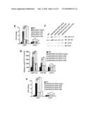 Oligopeptides for treatment of osteoporosis and other bone diseases and methods therefor diagram and image