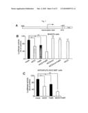 Oligopeptides for treatment of osteoporosis and other bone diseases and methods therefor diagram and image