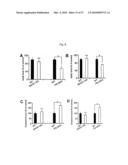 Oligopeptides for treatment of osteoporosis and other bone diseases and methods therefor diagram and image