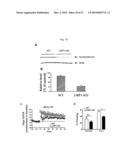 Oligopeptides for treatment of osteoporosis and other bone diseases and methods therefor diagram and image