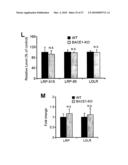 Oligopeptides for treatment of osteoporosis and other bone diseases and methods therefor diagram and image