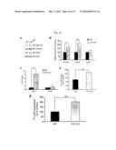 Oligopeptides for treatment of osteoporosis and other bone diseases and methods therefor diagram and image