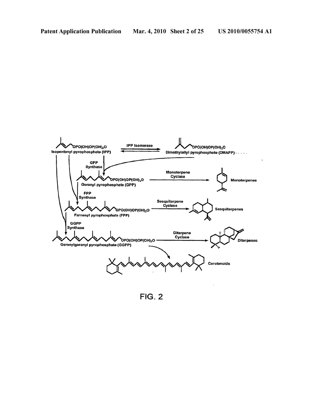 METHODS FOR INCREASING ISOPRENOID AND ISOPRENOID PRECURSOR PRODUCTION BY MODULATING FATTY ACID LEVELS - diagram, schematic, and image 03