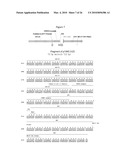 Rationally Designed, Synthetic Antibody Libraries and Uses Therefor diagram and image