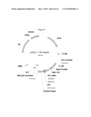 Rationally Designed, Synthetic Antibody Libraries and Uses Therefor diagram and image