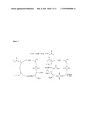 C-H Bond Amination and Olefin Aziridination with Beta-Diketiminato Copper Catalysts diagram and image