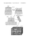 Self-Cleaning Membrane for Implantable Biosensors diagram and image