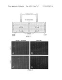 Self-Cleaning Membrane for Implantable Biosensors diagram and image