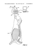 Objective Methods of Estimating Age of Animals and Carcasses diagram and image