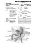 SYSTEM, DEVICE, METHOD, COMPUTER-READABLE MEDIUM, AND USE FOR IN VIVO IMAGING OF TISSUE IN AN ANATOMICAL STRUCTURE diagram and image