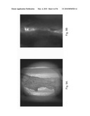 DIGITAL LIGHT PROCESSING HYPERSPECTRAL IMAGING APPARATUS diagram and image