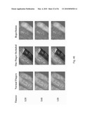 DIGITAL LIGHT PROCESSING HYPERSPECTRAL IMAGING APPARATUS diagram and image