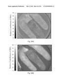 DIGITAL LIGHT PROCESSING HYPERSPECTRAL IMAGING APPARATUS diagram and image