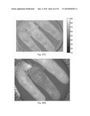 DIGITAL LIGHT PROCESSING HYPERSPECTRAL IMAGING APPARATUS diagram and image