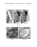 DIGITAL LIGHT PROCESSING HYPERSPECTRAL IMAGING APPARATUS diagram and image