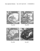 DIGITAL LIGHT PROCESSING HYPERSPECTRAL IMAGING APPARATUS diagram and image