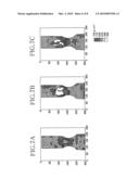 ABSORBENT ARTICLE diagram and image