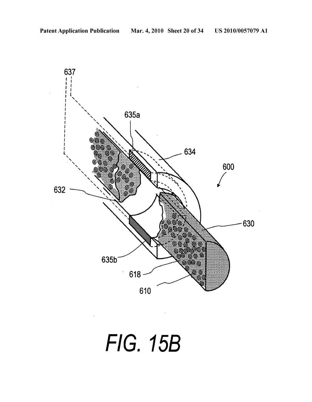 POLYMER COMPOSITES FOR BIOMEDICAL APPLICATIONS AND METHODS OF MAKING - diagram, schematic, and image 21