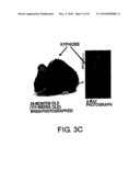 PROTEIN FORMULATIONS COMPRISING S1-5 diagram and image