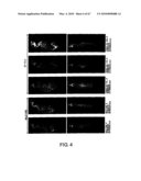 PROTEIN FORMULATIONS COMPRISING S1-5 diagram and image