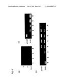 EARLY-MATURING TRANSFORMED PLANT diagram and image