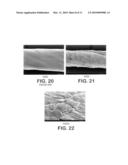 Expanded PTFE Articles and Method of Making Same diagram and image