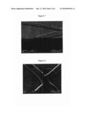 PROCESS FOR MANUFACTURING A MASK HAVING SUBMILLIMETRIC OPENINGS FOR PRODUCING A SUBMILLIMETRIC GRID, AND SUBMILLIMETRIC GRID diagram and image