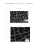 PROCESS FOR MANUFACTURING A MASK HAVING SUBMILLIMETRIC OPENINGS FOR PRODUCING A SUBMILLIMETRIC GRID, AND SUBMILLIMETRIC GRID diagram and image