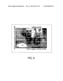 CMOS LINEAR VOLTAGE/CURRENT DUAL-MODE IMAGER diagram and image