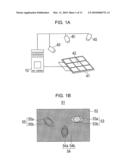 APPARATUS AND METHOD FOR EXTRACTING OBJECT IMAGE diagram and image