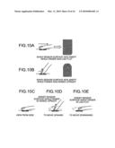 Fingerprint authentication device, fingerprint authentication program, and fingerprint authentication method diagram and image