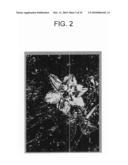 PREDICTION COEFFICIENT OPERATION DEVICE AND METHOD, IMAGE DATA OPERATION DEVICE AND METHOD, PROGRAM, AND RECORDING MEDIUM diagram and image