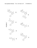 UNNATURAL AMINO ACIDS CAPABLE OF COVALENTLY MODIFYING PROTEIN PHOSPHATASES AND THEIR USE AS GENERAL AND SPECIFIC INHIBITORS AND PROBES diagram and image