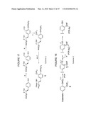 UNNATURAL AMINO ACIDS CAPABLE OF COVALENTLY MODIFYING PROTEIN PHOSPHATASES AND THEIR USE AS GENERAL AND SPECIFIC INHIBITORS AND PROBES diagram and image