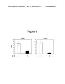 Modulation of Regulatory T Cells by Human IL-18 diagram and image