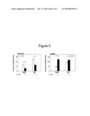 Modulation of Regulatory T Cells by Human IL-18 diagram and image