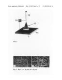 Tissue Engineered Cartilage, Method of Making Same, Therapeutic and Cosmetic Surgical Applications Using Same diagram and image