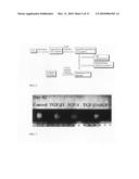 Tissue Engineered Cartilage, Method of Making Same, Therapeutic and Cosmetic Surgical Applications Using Same diagram and image