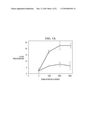 RESPIRATORY SYNCYTIAL VIRUS RENDERS DENDRITIC CELLS TOLEROGENIC diagram and image