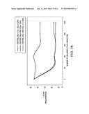 RESPIRATORY SYNCYTIAL VIRUS RENDERS DENDRITIC CELLS TOLEROGENIC diagram and image