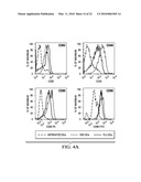 RESPIRATORY SYNCYTIAL VIRUS RENDERS DENDRITIC CELLS TOLEROGENIC diagram and image