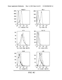 RESPIRATORY SYNCYTIAL VIRUS RENDERS DENDRITIC CELLS TOLEROGENIC diagram and image