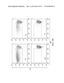 RESPIRATORY SYNCYTIAL VIRUS RENDERS DENDRITIC CELLS TOLEROGENIC diagram and image