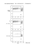 RESPIRATORY SYNCYTIAL VIRUS RENDERS DENDRITIC CELLS TOLEROGENIC diagram and image